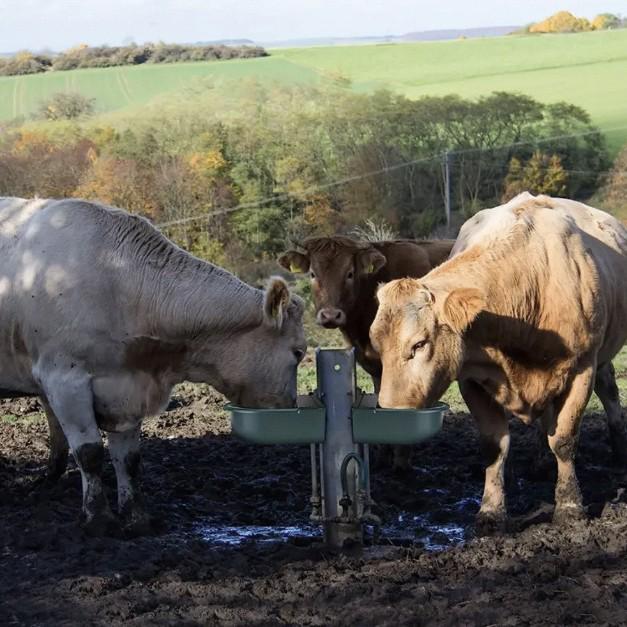 Automatic Plastic Cow Watering Bowl