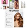 Hoegoa Gentle Herbal Dry Shampoo Spray For Soft And Manageable Hair Care Essentials