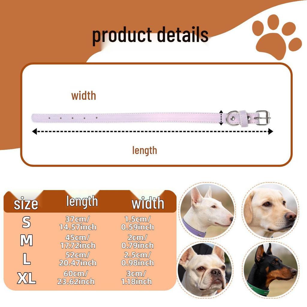 Pearlescent Dog Collar for Small & Medium Breeds: French Bulldog, Teddy