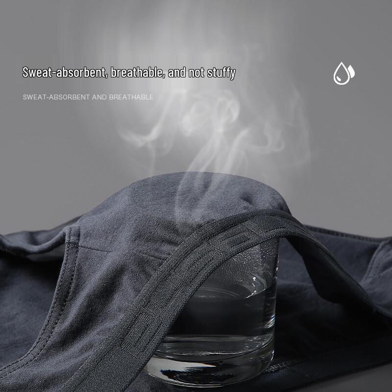 Langsha Men's Cotton Antibacterial Mid-Waist Briefs