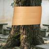 Baumschutz-Wickelband 164 Fuß x 2 Zoll Zikaden-Baumschutz-Wickelband Klebeband Kraftpapier Rutschhemmende Barriere für den Außenbereich