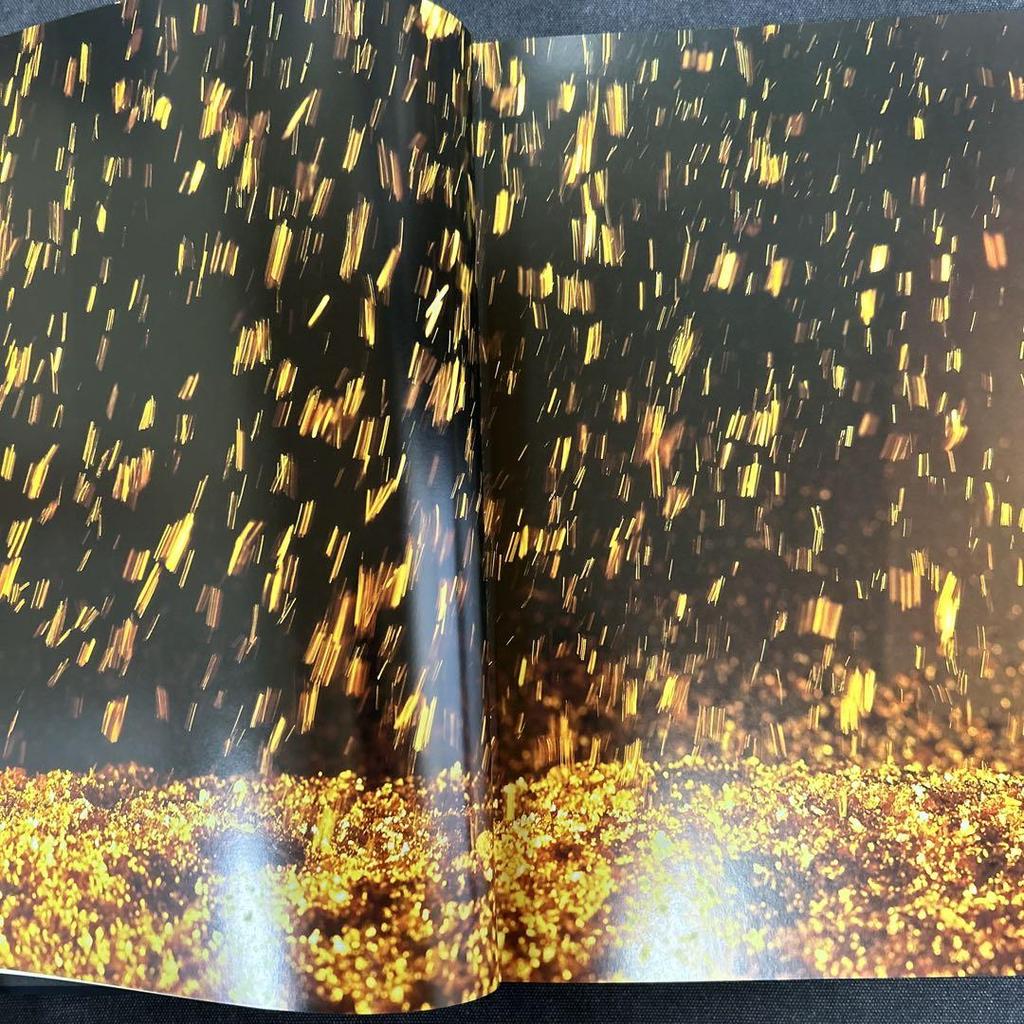 [USED] Luxury Book: The Shape of Gloss Kanazawa by Keiichi Tahara