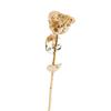 @ Golden Rose For Proposals Gift Box 16 Cm UKZQ517 50%off