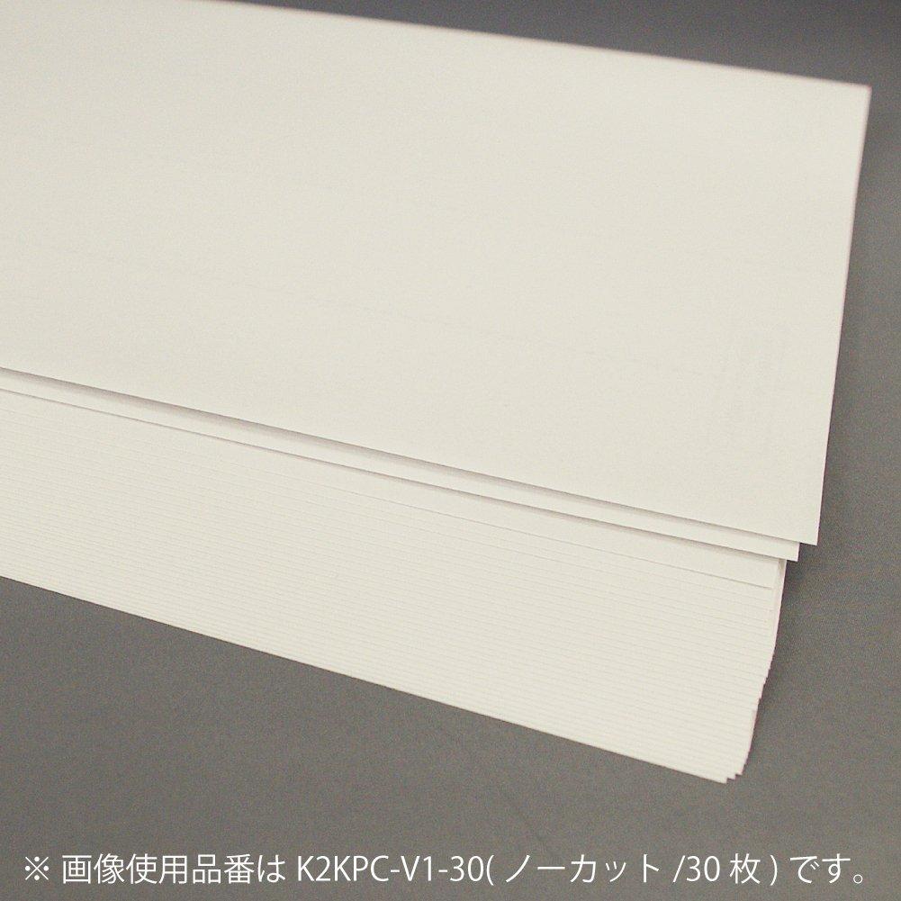 KOKUYO Paper 500 Sheets Printer-compatible Labels, Uncut, K2KPC-V1-500