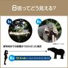 OM SYSTEM 8x25 Binoculars, Compact, Lightweight, Waterproof, Green 8X25WP II GRN