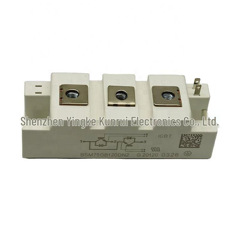 

BSM75GB120DN2, BSM50GB120DN2, BSM50GB120DLC, SKM100GB125DN Напівпровідники