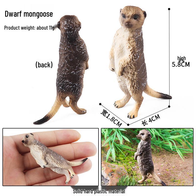 Simulation Animal Model Toys - Mouse, Marmot, Flying Squirrel, Naked Mole Rat, Squirrel, Weasel, Golden Hamster Ornaments