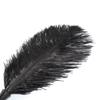 BDSM Feather Teaser Wand with Black Feathers Soft Sensual Tickler for Couples' Foreplay & Roleplay Lightweight Discreet Adult Toy for Intimate Play &
