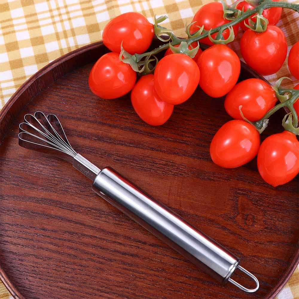 Slicer Fruit Tool Scraper Stainless Steel Grater Coconut Shaver Coconut Meat Remover Fish Scaler