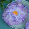 1 Pair Flower Hairpin For Women Handmade Gauze Gradient Peony Hair Clip Elegant Fairy Floral Hair Pin Exquisite Hair Accessories