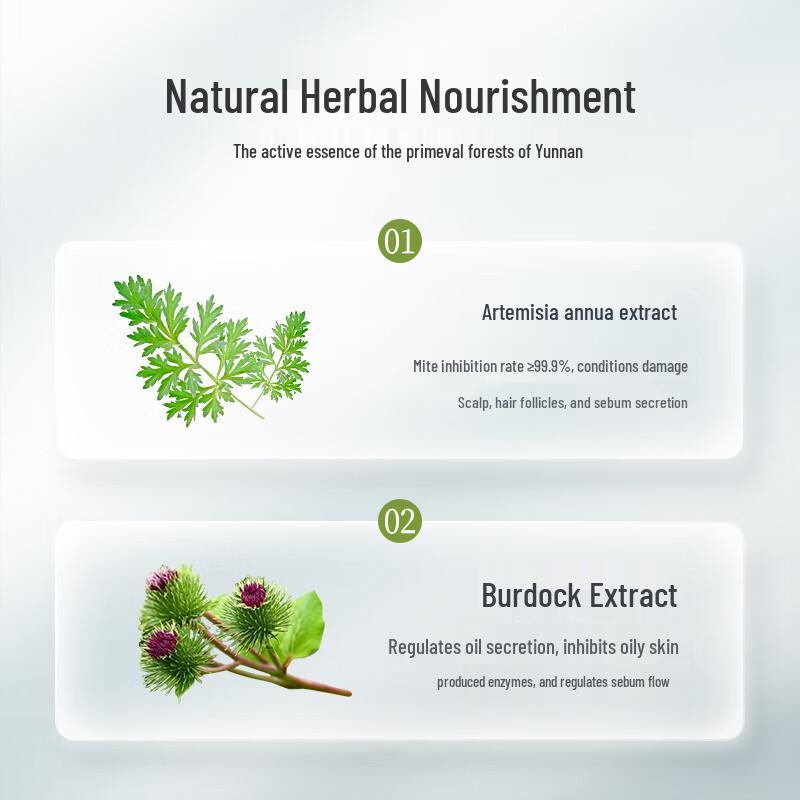 Conquer Artemisia Oil Control & Volumizing Shampoo (2x530ml)