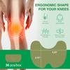 Vn Care Herbal Knee Pain Relief Pack of 1  (Patches 20) Natural Wormwood Pain Patches for Joints & Muscles