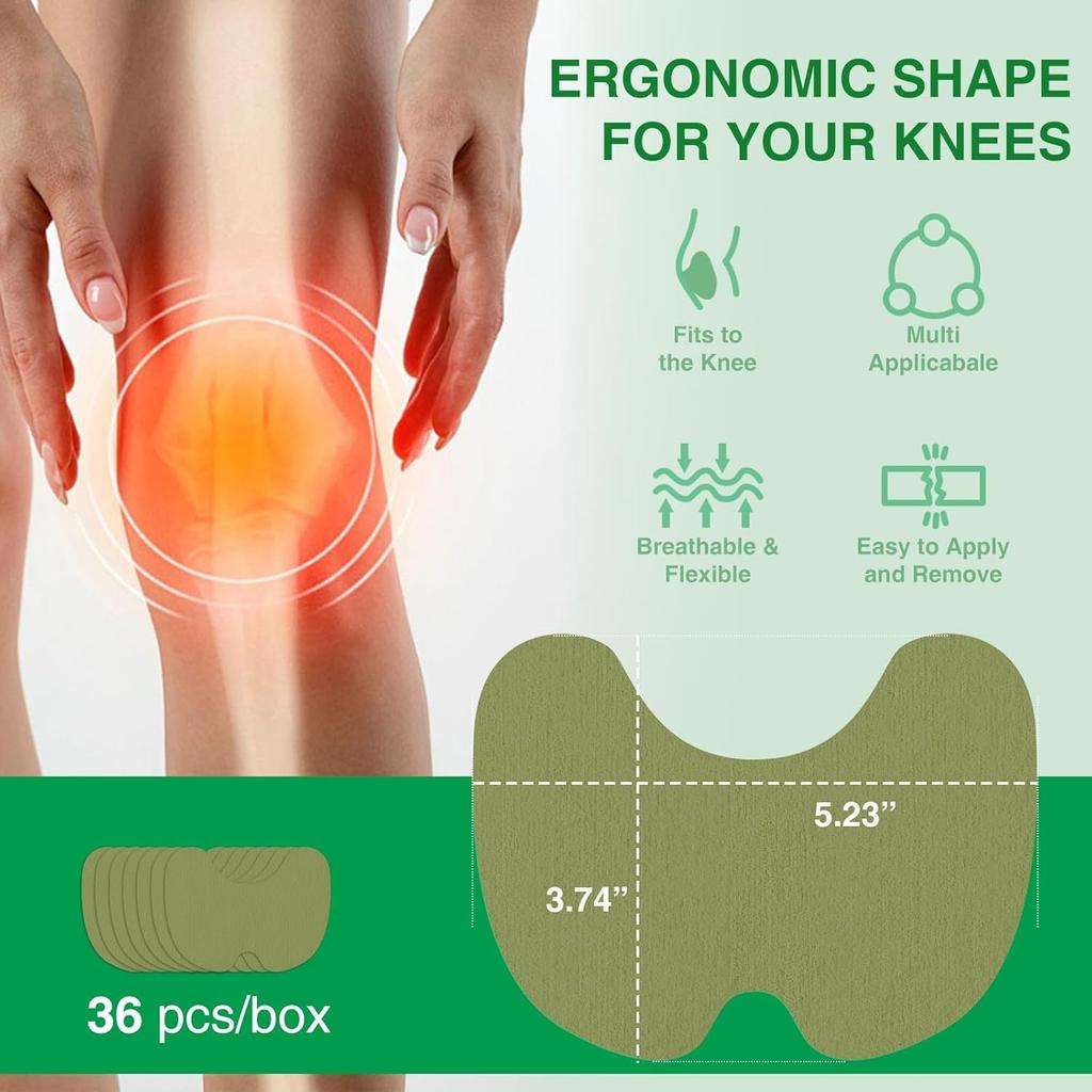 Vn Care Herbal Knee Pain Relief Pack of 1  (Patches 20) Natural Wormwood Pain Patches for Joints & Muscles