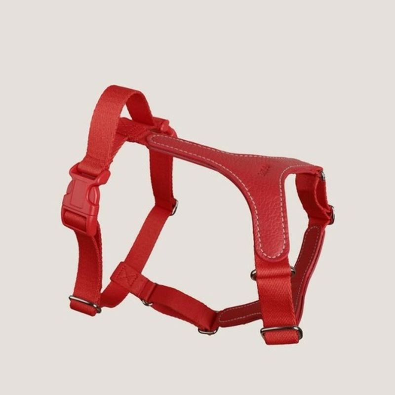 GOPE GOPE Signature Hundegeschirr RERE