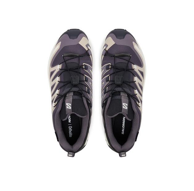 Треккинговые ботинки Salomon Xa Pro 3D V9 Gore-Tex