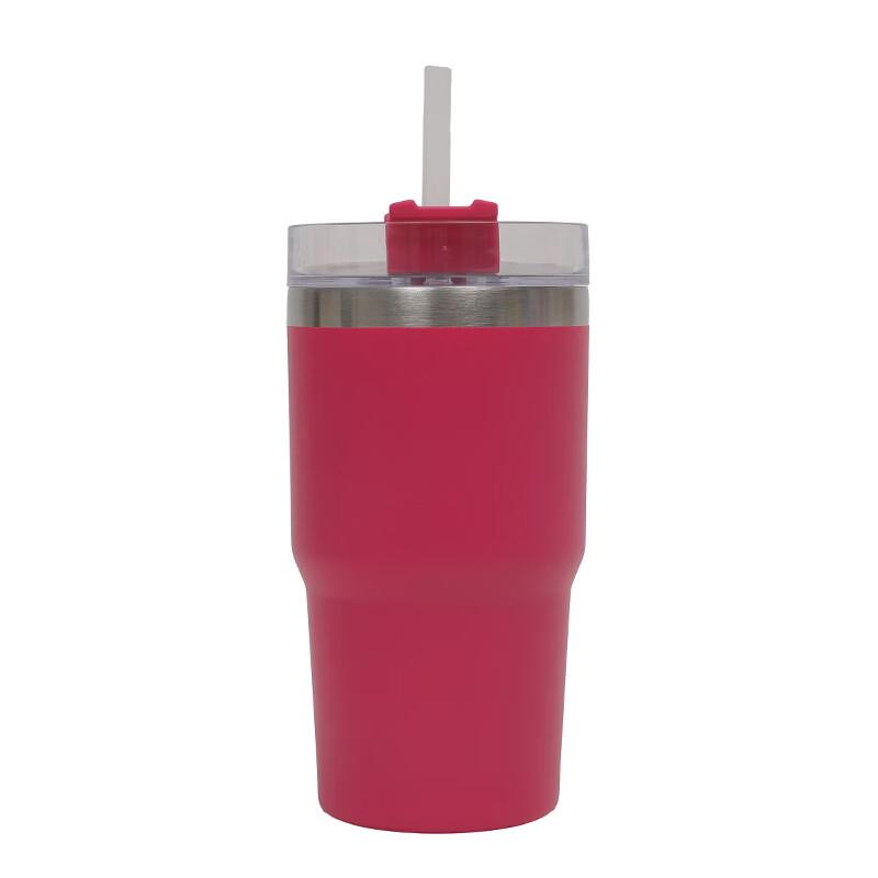 Shengye Stainless Steel Insulated Tumbler with Handle and Straw