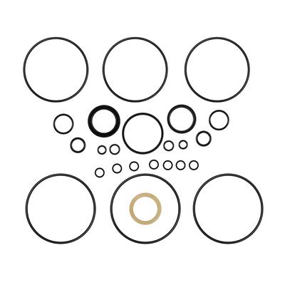 Dichtungssatz für 60540 / 60540-000 101 (H.) Serie 008 009