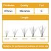 1 Box 10D 60Pcs  Scarecrow False Eyelash Extension Set  3D DIY False Eyelashe Fake Lashes
