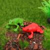 Schwimmendes Wassertier-Spielzeug Quetschfrosch-Spielzeug Frosch-Modellspielzeug Scherz-Simulations-Froschmodell Quetschfrosch