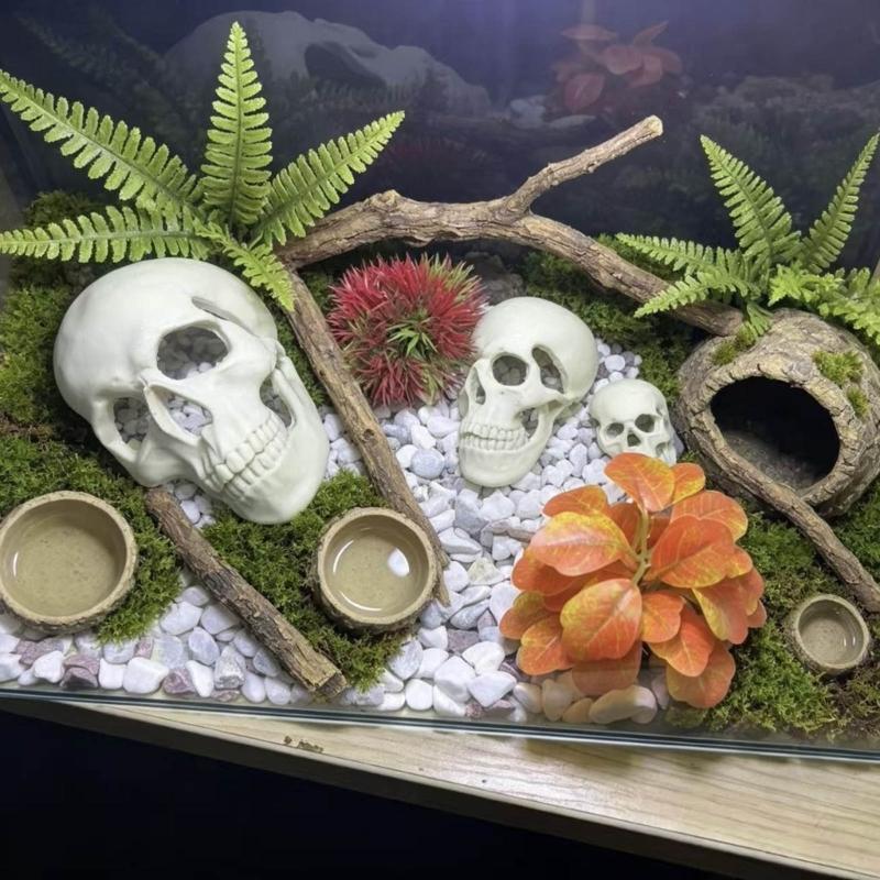 Skull Figurine Accent for Enclosure Styling, Room Display, Shelf Display, and Theme Display Use with Indoor Display