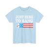Fourth of July Shirt, Just Here To Bang American Flag 4th of July Shirt