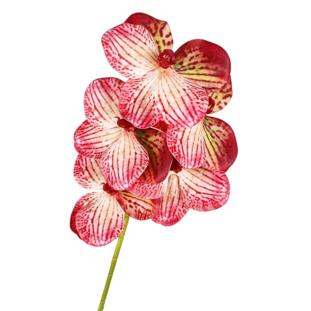 Echte Berührung Simulation Große Mottenorchidee Schmetterlingsorchidee Künstlicher Blumenast Lehrertag