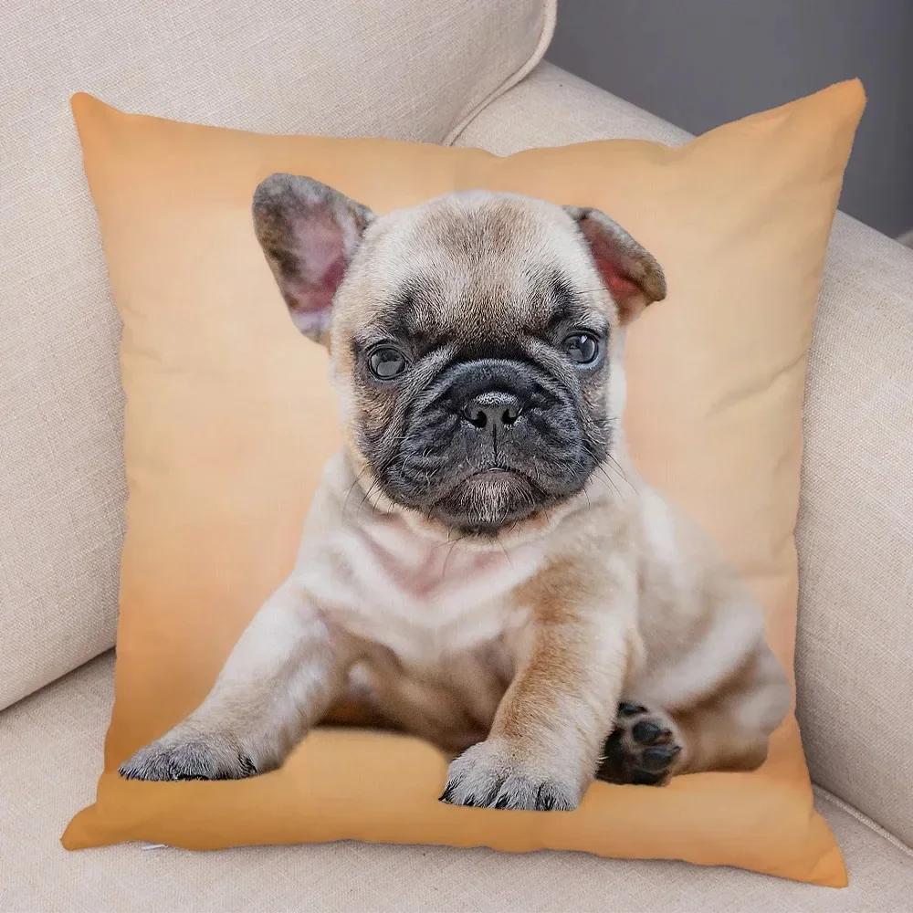 VIKAMA Nordic-Style Adorable Dog Cushion Cover Pug Print Cushion Cover Bedroom Living Room Sofa Decorative Cushion Cover