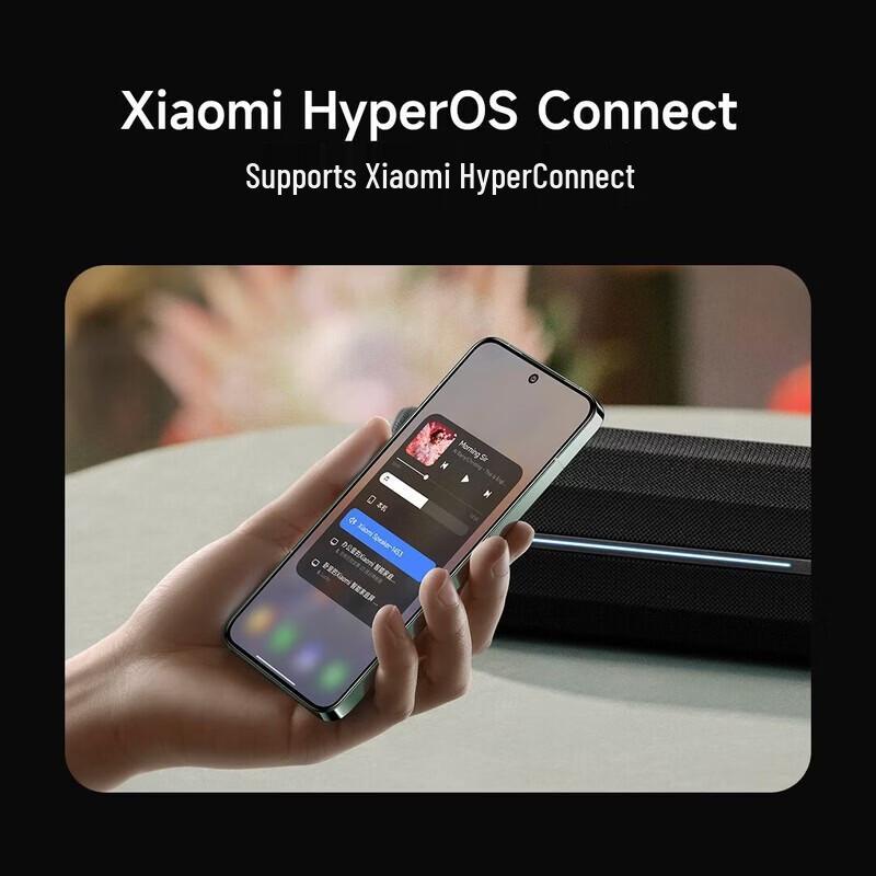 Xiaomi MI Outdoor Portable Bluetooth Speaker CN plug (adapter included) (CN version)