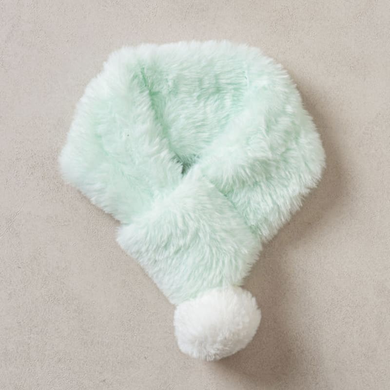 [Haustier] Pom Pom Pelzschal Mint