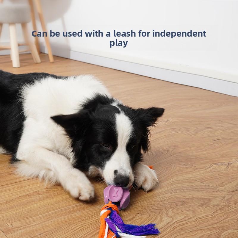 Cute and Novel Dog Toys That Can't Bite Through Balls, Outdoor Interactive Training Combination Ropes, Pet Self-entertainment Toys