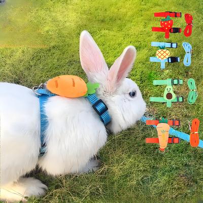 Adjustable Rabbit Cat Harness and Leash for Small Animals Ferrets Piggies Hedgehogs Bunny Kitten Outdoor Walking Traction Rope