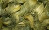Decorative Feathers, 1 Pack, Olive