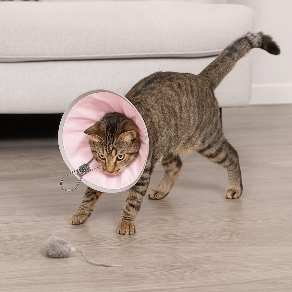 Anti-licking Pet Elizabethan Collar Waterproof Adjustable Pet Grooming Collar Anti Biting Soft Small Dog Headgear Wound Healing