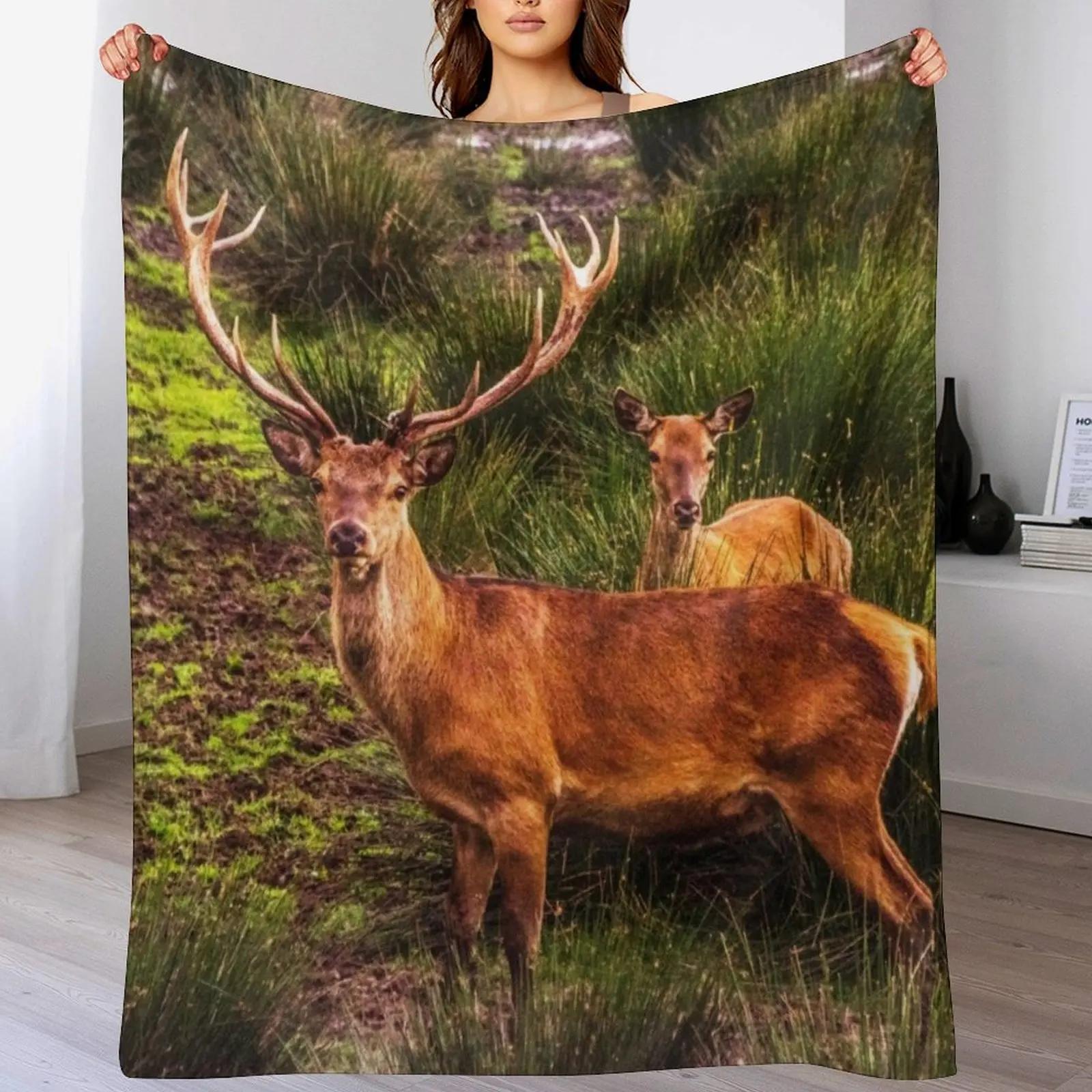 

Stag and Doe Throw Blanket Warm Comfortable Blanket for Office Napping 102x76cm(40x30in)