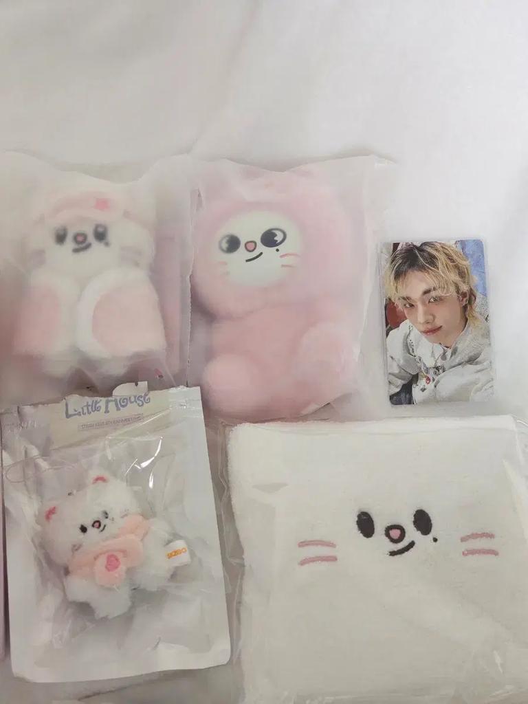 STRAY KIDS Stay in Our Little House Genielet Goods Poka