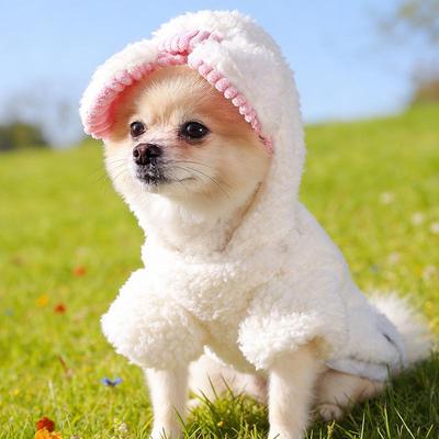 Warm Velvet Jacket for Dogs and Cats - Winter Wear for Small To Medium Breeds