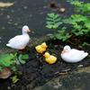 White Duck Family Resin Ornament for Bonsai Garden Aquarium Fish Tank Mini Landscape Decor Craft Home Decoration Accessories