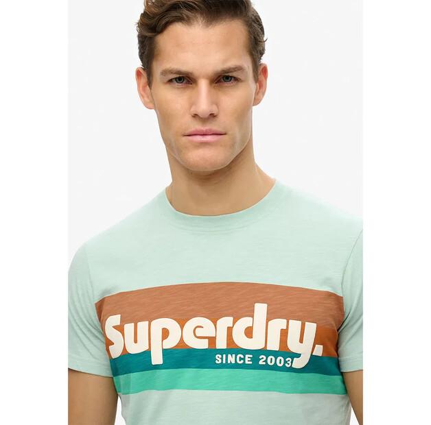 Superdry Terrain Logo Stripe Relxed Short Sleeve T-Shirt