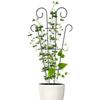 Pflanzenstütze, Pflanzenpfähle, Pflanzenkletterstützrahmen, Gartenklettergitter, Blumenständer, Käfig, Gartenpflege, Boden, Blumenregal