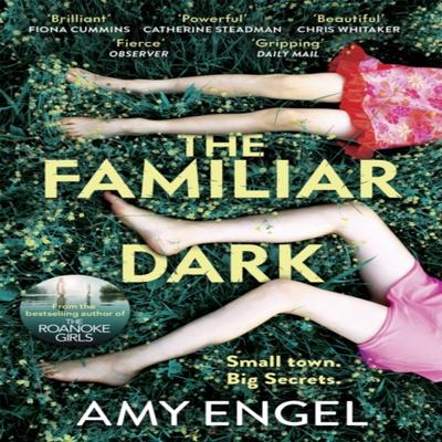 The Familiar Dark by Amy Engel Paperback Book 9781529368116
