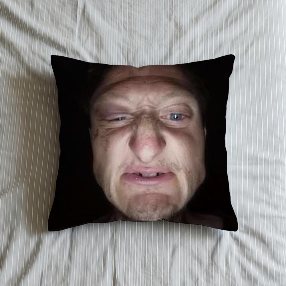 Cushion Cover Soft Case Sofa Living D-Daniel Selfie Room Home Comfortable Office Larson Decor Protective Pillow