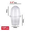 10/20Pcs Seedling Nursery Cup Thickened 3.5/4/5/6 Inch PET Garden Herb Flower Cultivation Seeds Germinate Seedling Pot with Lid
