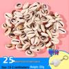 Handmade Decorative Seashells & Starfish for Fish Tanks: Landscaping, Painting, Specimens, Whelks, Hermit Crabs