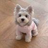 Dog German velvet warm four-legged clothes autumn and winter than bear teddy small dog cat pet bottoming shirt loungewear