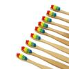 Triangle Shape Bamboo Toothbrush