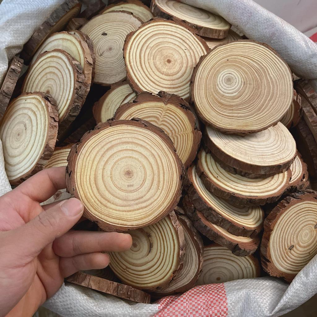 DIY Hand-Painted Wooden Slices for Crafts and Kindergarten Decor – Small Natural Wood Pieces with Growth Rings