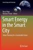 Kniha Smart Energy In the Smart City : Urban Planning for a Sustainable Future