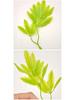 Bifurcate Maple Leaf Aquatic Plant Plastic Decor: Green Simulation Grass, Flower, and Leaves for Cake and Hotel Decoration.