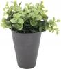 Artificial Decorative Plant In a 17 Cm Pot
