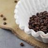 A25F-Premium Quality 100 Pcs 5 To 6 Cup Commercial For Coffee Filters Large For Coffee Filters Big& Tall For Coffee Machines